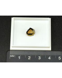 Asbecasit X (TOP!); Cherbadung, Binntal, Schweiz; MM; Einzelstück