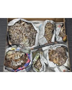 Mondstein xx (Oligoklas) auf Matrix; St. Eulalia, Chihuahua, Mexiko; 1 Steige; Unikat