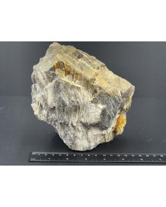 Fossiles, versteinertes Holz; spinnennetzartige Struktur; Sumatra, Indonesien; 2,1 kg; Einzelstück