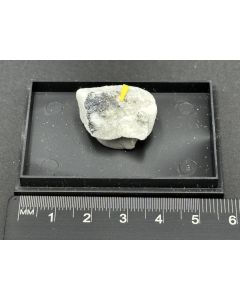 Incomsartorit xx; Grube Lengenbach, Binntal, Wallis, Schweiz; KS; Einzelstück