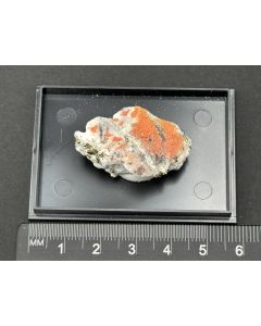 Edenharterit, Realgar xx; Grube Lengenbach, Binntal, Wallis, Schweiz; KS; Einzelstück