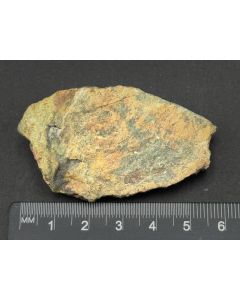 Ferrisicklerit; Rio Namibe, Angola; Gerd Tremmel Sammlung; KS; Einzelstück