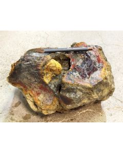 Fossilized (petrified) wood; Garut, Java, Indonesia; 13.35 kg; unique piece
