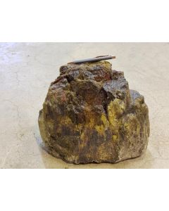 Fossilized (petrified) wood; Indonesia; 19.95 kg; unique piece
