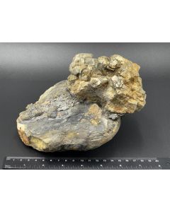 Pyrite xls; Java (Central Java); Indonesia; Cab; unique piece
