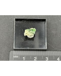 Konichalcit, Malachit xx; Tsumeb Mine, Otaviberge, Namibia;  MM; Einzelst&uuml;ck