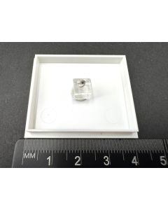 Melanotektit, Willemit xx; Tsumeb Mine, Otaviberge, Namibia; Gerd Tremmel Sammlung; MM; Einzelst&uuml;ck