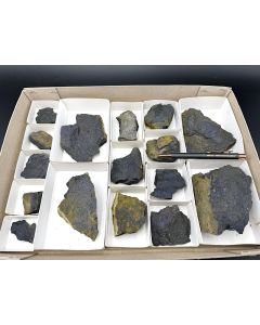 Corvusit, Coffinit, Montroseit; Pandora Mine, UT, USA; 1 Steige; Unikat