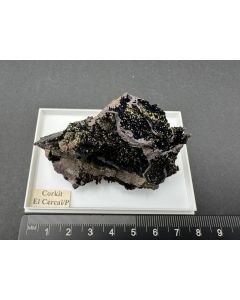 Corkit xx; Cercal do Alentejo, Santiago do Cacém, Setúbal, Portugal; Gerd Tremmel Sammlung; NS; Einzelstück