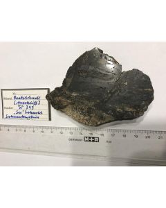 Uraninit - Anschliff; Schacht 343, Schneckenstein, Sachsen, Deutschland; NS; Einzelstück