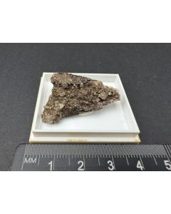 Chernovit - (Y) xx; Cherbadung, Binntal, Schweiz; KS; Einzelstück