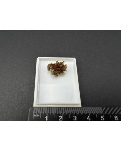 Childrenit xx; Lafra da Ilha, MG, Brasilien; MM; Einzelstück