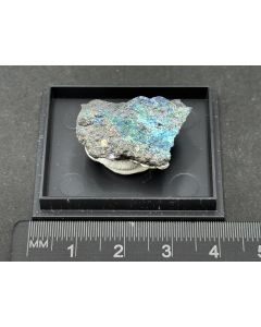 Linarit xx; Tsumeb Mine, Otaviberge, Namibia; MM; Einzelst&uuml;ck