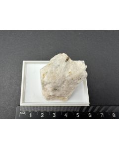 Dravit xx; Grube Lengenbach, Binntal, Schweiz; KS; Einzelst&uuml;ck