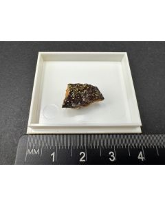 Duftit xx; Cap Garonne, Var, Frankreich; MM; Einzelst&uuml;ck