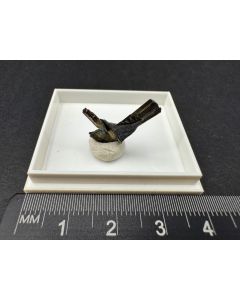 Dyskrasit xx; Pribram, Tschechische Republik; MM; Einzelstück