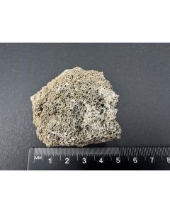 Dorrit xx; Nickenich, Eifel, Deutschland; KS; Einzelstück