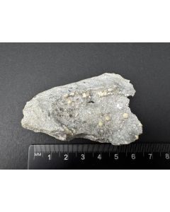 Dresserit xx; Francon Quarry, Montreal, Kanada; NS; Einzelstück