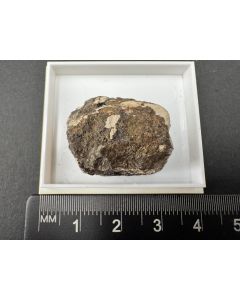 Diadochit; Richelle, Ardennen, Belgien; KS; Einzelstück