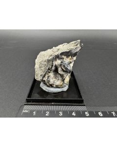 Diaphorit xx; St. Andreasberg, Harz, Deutschland; NS; Einzelstück