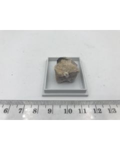 Hydroterskit; Karnasurt, Lovozero, Russland; KS; Einzelstück