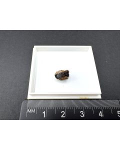 Djurleit xx (mit Chalkosin); Reichenbach, Odenwald, Deutschland; MM; Einzelstück