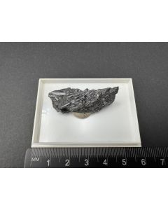 Kylindrit; Mina Candelaria, Poopo, Bolivien; KS; Einzelst&uuml;ck