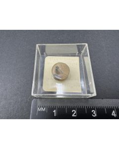 Cuprorhodsit, Isoferroplatin; Kondor, Aldan, Ru&szlig;land; MM; Einzelst&uuml;ck