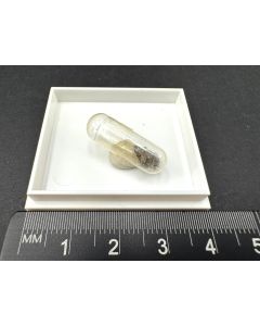 Delhayelit; Rasvumtschorr, Kola, Rußland; Kapsel; Einzelstück