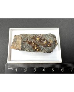 Deskloizit xx; C+B Vanadium Mine, AZ, USA; NS; Einzelst&uuml;ck