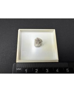 Cianciulliit xx; Sterling Hill, Franklin, NJ, USA; MM; Einzelstück