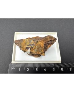 Coeruleolactite xls; Rotläufchen Mine, Wetzlar, Hesse, Germany; Min; unique piece
