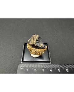 Askagenit-(Nd); Askagen, Schweden; KS; Einzelstück