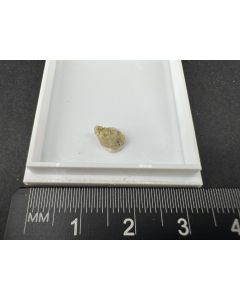 Capgaronnit xx, Perroudit xx; Cap Garonne, Var, Frankreich; MM; Einzelst&uuml;ck