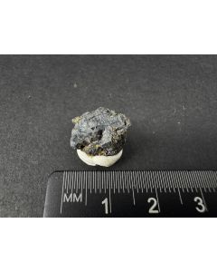 Argyrodit xx auf Pyragyrit; Colquechaca, Bolivien; MM; Einzelst&uuml;ck