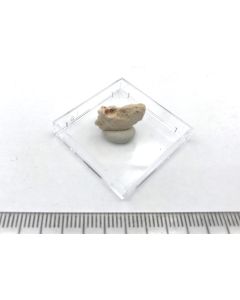 Ammoniotinsleyit; Pabellon de Pica, Iquique, Chile; MM