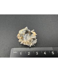 Tetraedrit, Quarz xx; Boltout, Cavnik, Rum&auml;nien; KS; Einzelst&uuml;ck