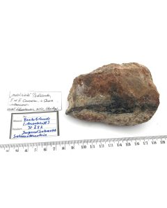 Uraninit - Anschliff; Schacht 252, Schneckenstein, Sachsen, Deutschland; NS; Einzelst&uuml;ck