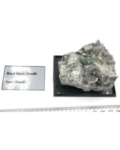 Torbernit xx auf Zinnwaldit; Zinnwald, Sachsen, Deutschland; NS; Einzelst&uuml;ck