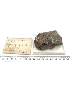 Torbernit xx; Johanngeorgenstadt, Sachsen, Deutschland; NS; Einzelst&uuml;ck