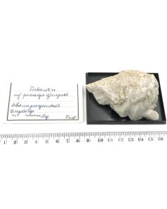 Torbernit xx; Johanngeorgenstadt, Sachsen, Deutschland; NS; Einzelst&uuml;ck