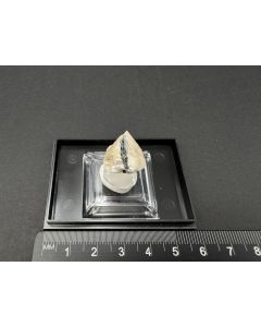 Eudidymite, Aegirine xls; Mt. Malosa, Zomba, Malawi; TN; unique piece
