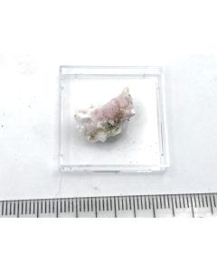 Magnesiokoritnigit xx; Torrecillas mine, Iquique, Chile; MM