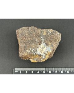 Brandit xx; Harstigen, Schweden; NS; Einzelst&uuml;ck