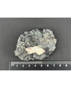 Bournonit xx; Mine de Maline, Frankreich; NS; Einzelst&uuml;ck