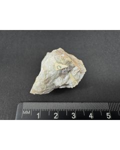 Cesstibtantit (UV), Simpsonit (UV); Worony Tundra, Chibine, Kola, Ru&szlig;land; KS; Einzelst&uuml;ck