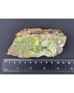 Nickeltalmessit xx; Bou Azzer, Marokko; NS; Einzelstück