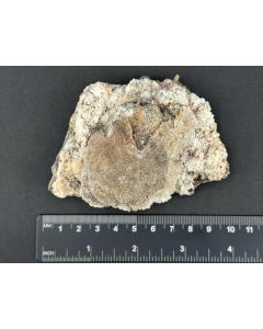 Montroydit xx; St. Eulalia, Chihuahua, Mexiko; NS; Einzelstück