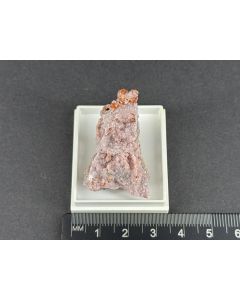 Karyopilit xx; N'Chwaning Mine, Kuruman, Südafrika; KS; Einzelstück