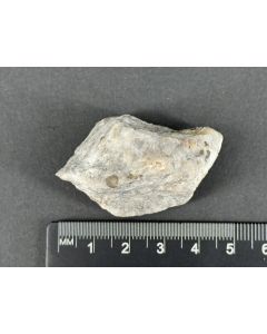 Boracit xx; Lüneburg, Niedersachsen, Deutschland; KS; Einzelstück